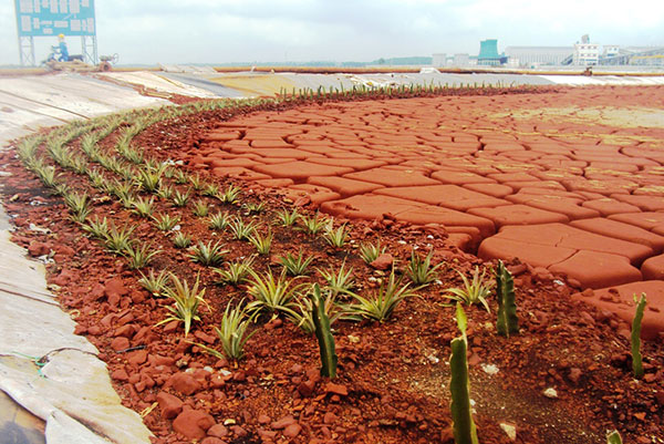 Sản phẩm